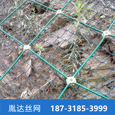 包塑主动网